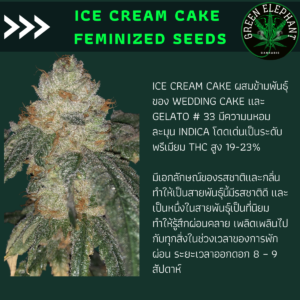 Ice cream cake feminized